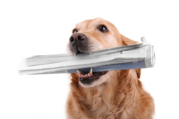 В Динамо назвали Овечкина послом российского спорта в мире