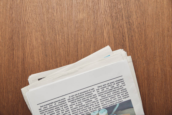 В Красноярске во втором чтении приняли закон о безнадзорных животных